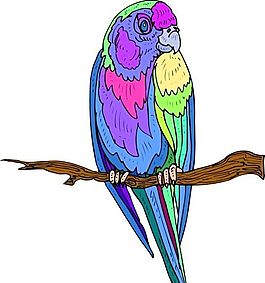 各種鳥類 鳥 動物 矢量素材 EPS格式_1222