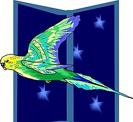 各種鳥類 鳥 動物 矢量素材 EPS格式_1195