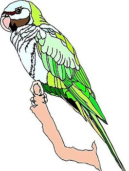 各種鳥類 鳥 動(dòng)物 矢量素材 EPS格式_1193