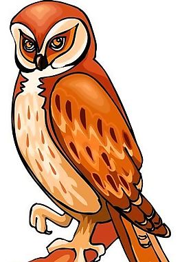 各種鳥類 鳥 動物 矢量素材 EPS格式_1189