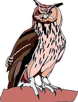 各種鳥(niǎo)類(lèi) 鳥(niǎo) 動(dòng)物 矢量素材 EPS格式_1175