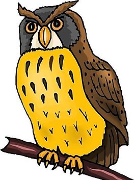 各種鳥類 鳥 動(dòng)物 矢量素材 EPS格式_1165