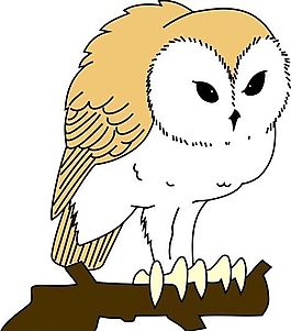 各種鳥類 鳥 動物 矢量素材 EPS格式_1148