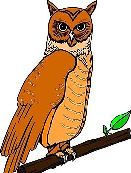 各種鳥類 鳥 動物 矢量素材 EPS格式_1143