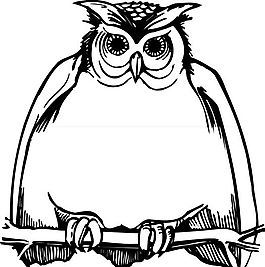各種鳥類 鳥 動(dòng)物 矢量素材 EPS格式_1142