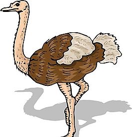 各種鳥類 鳥 動物 矢量素材 EPS格式_1126