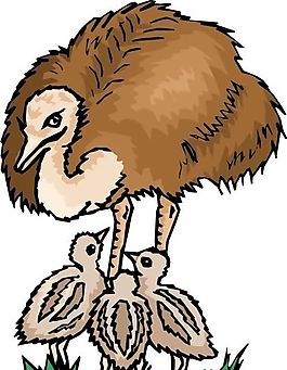 各種鳥類 鳥 動物 矢量素材 EPS格式_1114