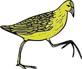 各種鳥類 鳥 動(dòng)物 矢量素材 EPS格式_1100
