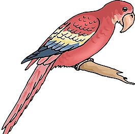 各種鳥類 鳥 動物 矢量素材 EPS格式_1084