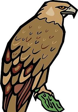 各種鳥類 鳥 動物 矢量素材 EPS格式_0996