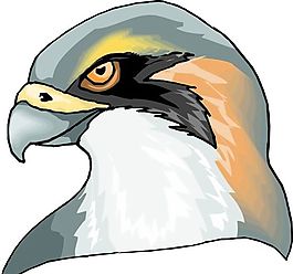 各種鳥類 鳥 動(dòng)物 矢量素材 EPS格式_0991