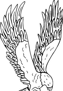 各種鳥(niǎo)類(lèi) 鳥(niǎo) 動(dòng)物 矢量素材 EPS格式_0986