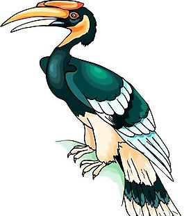 各種鳥類 鳥 動(dòng)物 矢量素材 EPS格式_0974