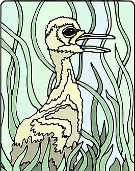 各種鳥類 鳥 動物 矢量素材 EPS格式_0972