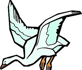 各種鳥類 鳥 動(dòng)物 矢量素材 EPS格式_0970