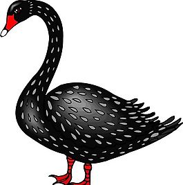 各種鳥類 鳥 動(dòng)物 矢量素材 EPS格式_0969