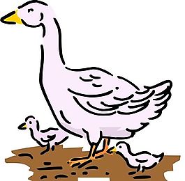 各種鳥(niǎo)類(lèi) 鳥(niǎo) 動(dòng)物 矢量素材 EPS格式_0946