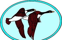 各種鳥類 鳥 動物 矢量素材 EPS格式_0935