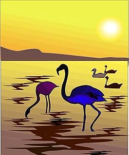 各種鳥(niǎo)類(lèi) 鳥(niǎo) 動(dòng)物 矢量素材 EPS格式_0909