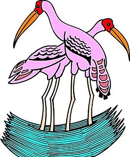 各種鳥(niǎo)類 鳥(niǎo) 動(dòng)物 矢量素材 EPS格式_0907