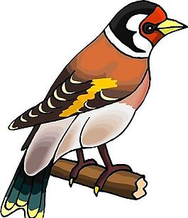 各種鳥類 鳥 動物 矢量素材 EPS格式_0869