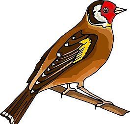 各種鳥類 鳥 動(dòng)物 矢量素材 EPS格式_0866