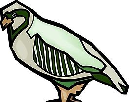 各種鳥類 鳥 動物 矢量素材 EPS格式_0860