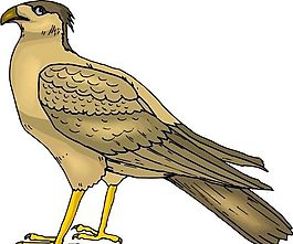各種鳥類 鳥 動物 矢量素材 EPS格式_0852