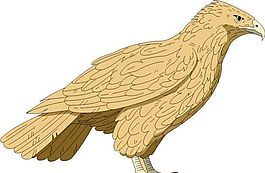 各種鳥類 鳥 動物 矢量素材 EPS格式_0847
