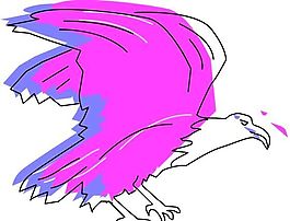 各種鳥類 鳥 動物 矢量素材 EPS格式_0827