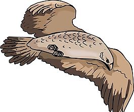 各種鳥類 鳥 動(dòng)物 矢量素材 EPS格式_0815