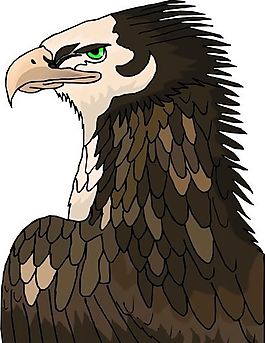 各種鳥類 鳥 動(dòng)物 矢量素材 EPS格式_0810