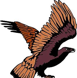 各種鳥(niǎo)類(lèi) 鳥(niǎo) 動(dòng)物 矢量素材 EPS格式_0800