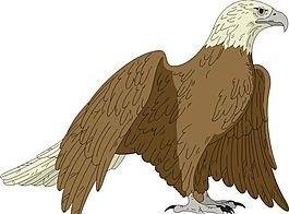 各種鳥類 鳥 動物 矢量素材 EPS格式_0797