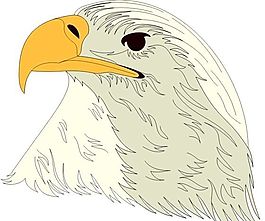 各種鳥類 鳥 動物 矢量素材 EPS格式_0796