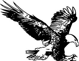 各種鳥類 鳥 動(dòng)物 矢量素材 EPS格式_0791
