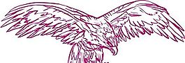 各種鳥類 鳥 動(dòng)物 矢量素材 EPS格式_0776