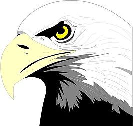 各種鳥類 鳥 動物 矢量素材 EPS格式_0761