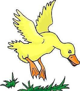 各種鳥類 鳥 動物 矢量素材 EPS格式_0734