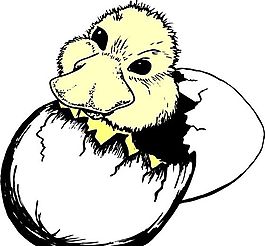各種鳥類 鳥 動(dòng)物 矢量素材 EPS格式_0732