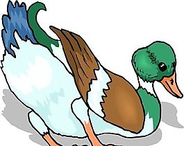 各種鳥類 鳥 動物 矢量素材 EPS格式_0717