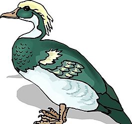 各種鳥類 鳥 動物 矢量素材 EPS格式_0698