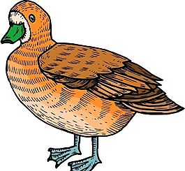 各種鳥類 鳥 動(dòng)物 矢量素材 EPS格式_0686