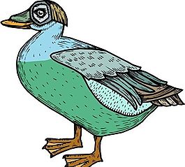 各種鳥類 鳥 動(dòng)物 矢量素材 EPS格式_0684
