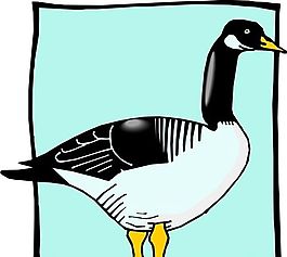 各種鳥類 鳥 動(dòng)物 矢量素材 EPS格式_0682