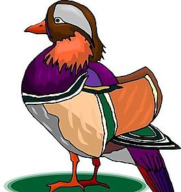 各種鳥類 鳥 動(dòng)物 矢量素材 EPS格式_0643