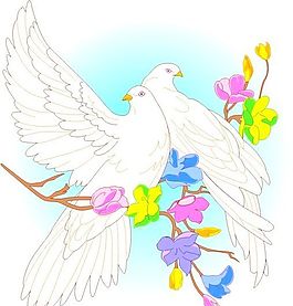 各種鳥(niǎo)類 鳥(niǎo) 動(dòng)物 矢量素材 EPS格式_0637