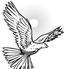 各種鳥類 鳥 動物 矢量素材 EPS格式_0635