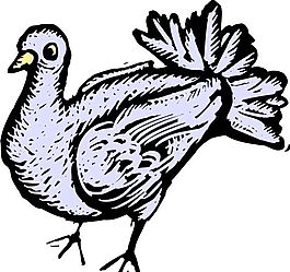 各種鳥類 鳥 動(dòng)物 矢量素材 EPS格式_0627