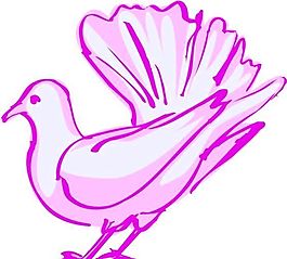各種鳥類 鳥 動物 矢量素材 EPS格式_0613